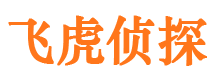 黄石港市调查公司